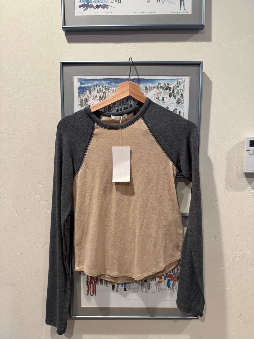 Zara Two-Tone Raglan Long-Sleeve Top in Beige and Charcoal